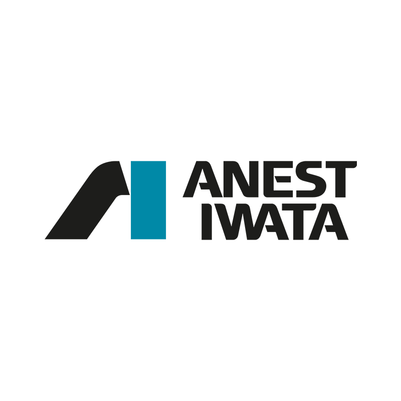 Anest Iwata